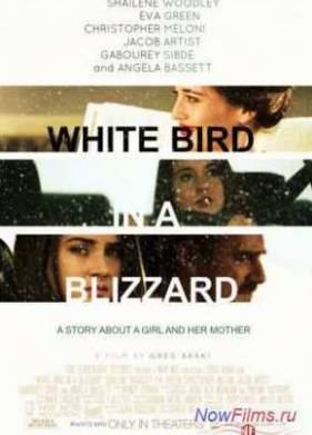 Белая птица в метели (2014)
