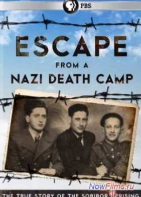 Фашистский лагерь смерти: Большой побег / Побег из фашистского лагеря смерти (2014)